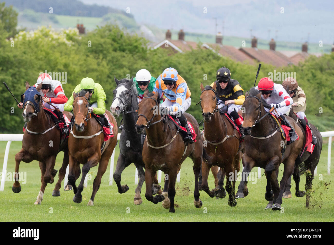 Courses de chevaux action de course Banque de photographies et d’images à haute résolution - Alamy