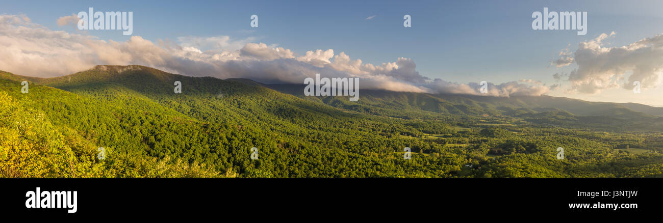 Panorama de la vallée de Shenandoah à l'heure d'or vus de Shenandoah National Park avec la forêt d'un vert éclatant, et nuages dans le ciel Banque D'Images