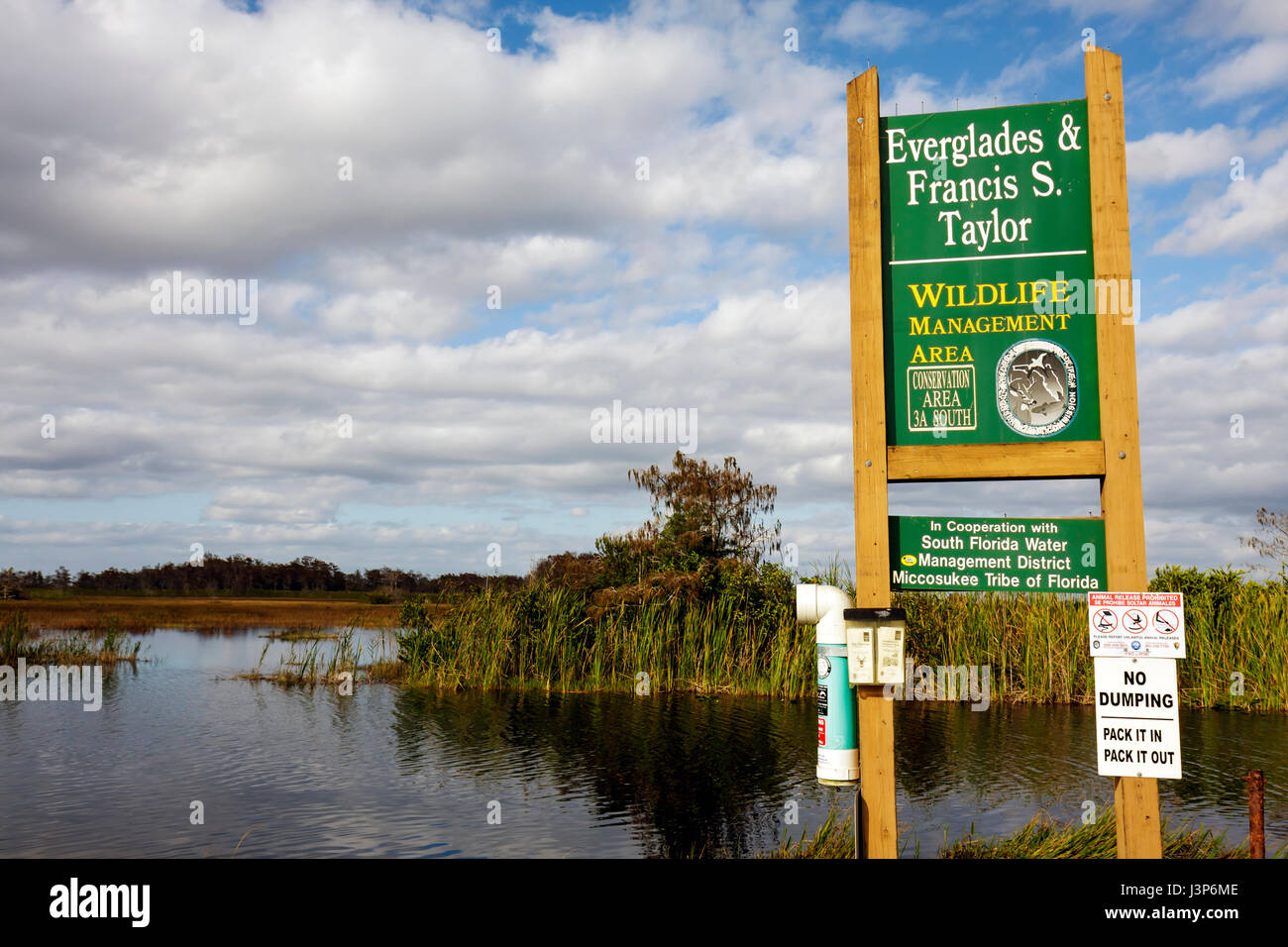 Floride les Everglades, Tamiami Trail, Shark River Slough, Francis S. Taylor Wildlife Management