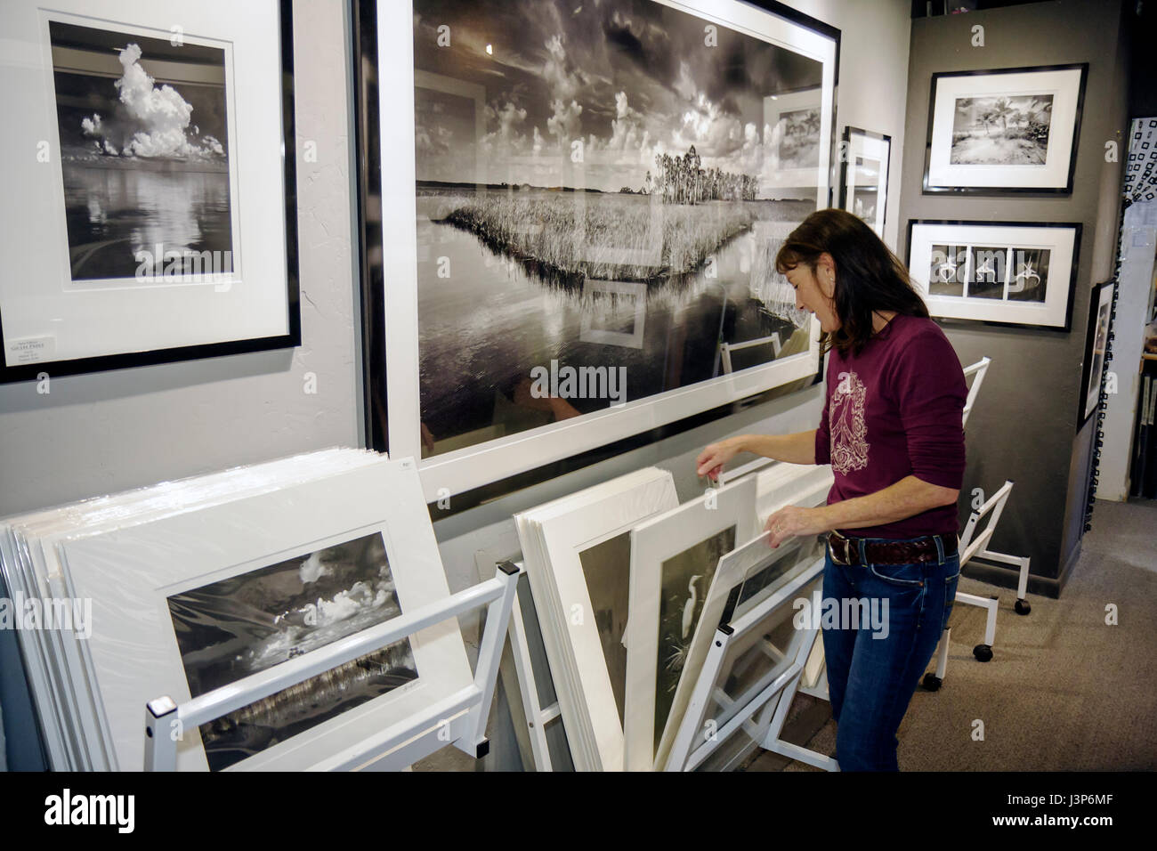 Florida the Everglades, Ochope, Tamiami Trail, Big Cypress Gallery, Clyde Butcher, Photographie noir et blanc, photographe, paysage, nature sauvage, galerie, gal Banque D'Images
