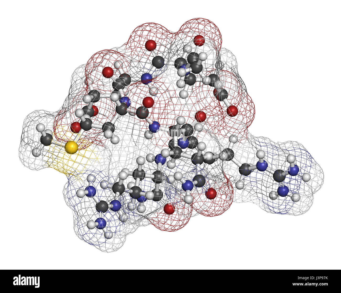 Hexapeptide acétyl-3 argireline (molécule). Fragment peptidique de la SNAP-25. Utilisé en cosmétique pour traiter les rides. Les atomes sont représentés comme des sphères avec co Banque D'Images