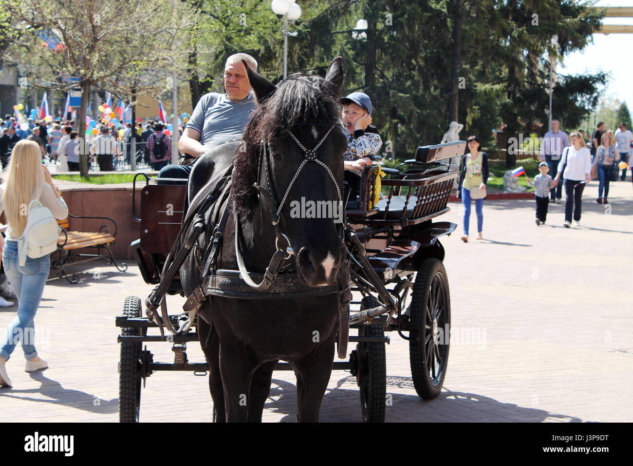 Koursk, Russie - Mai 1, 2017 : Cheval noir avec chariot Banque D'Images