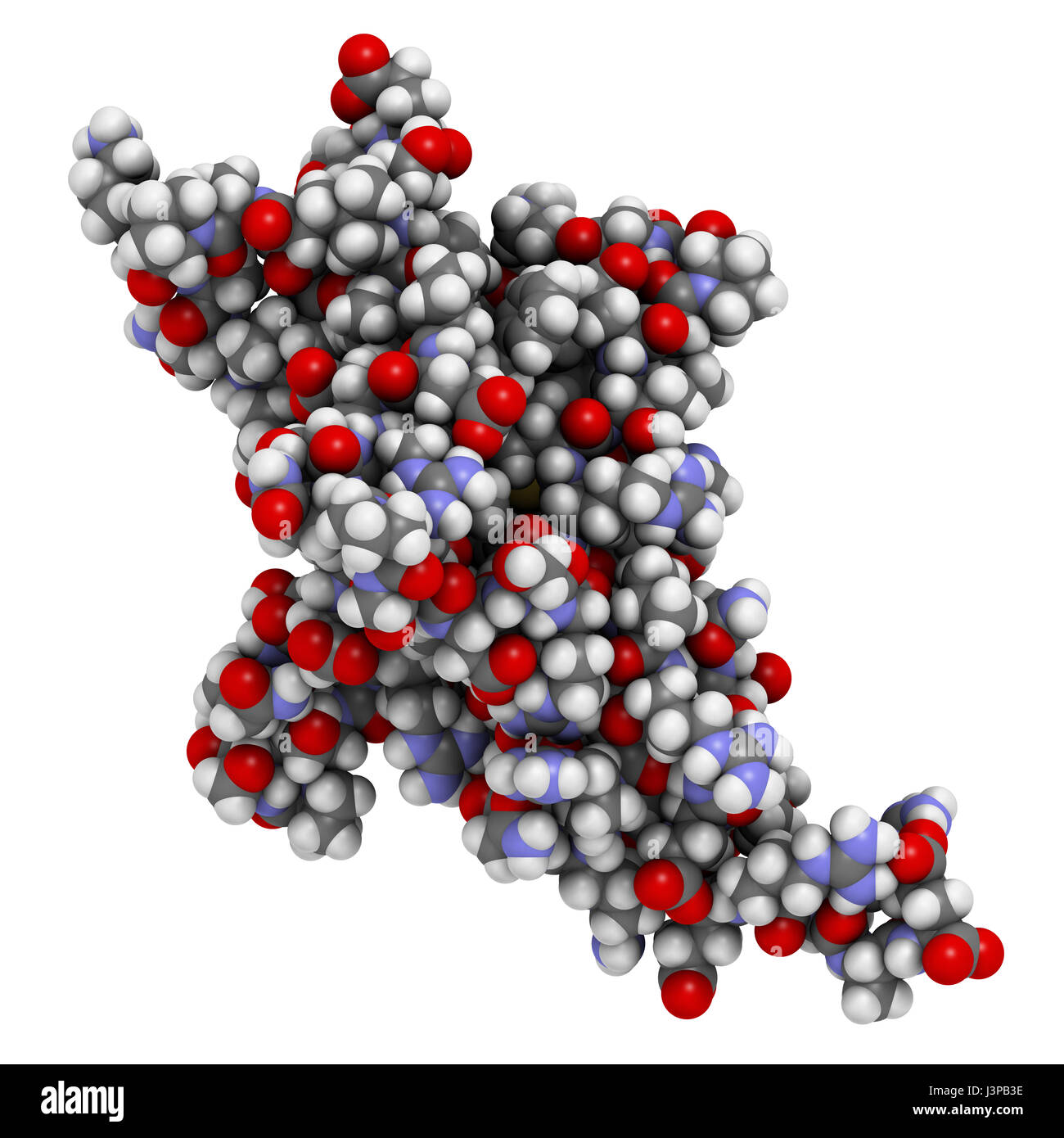 La mort cellulaire programmée (1 PD-1, protéine du récepteur CD279). PD-1 est l'une des principales cibles des médicaments contre le cancer. Les atomes sont représentés comme des sphères de couleur classique c Banque D'Images