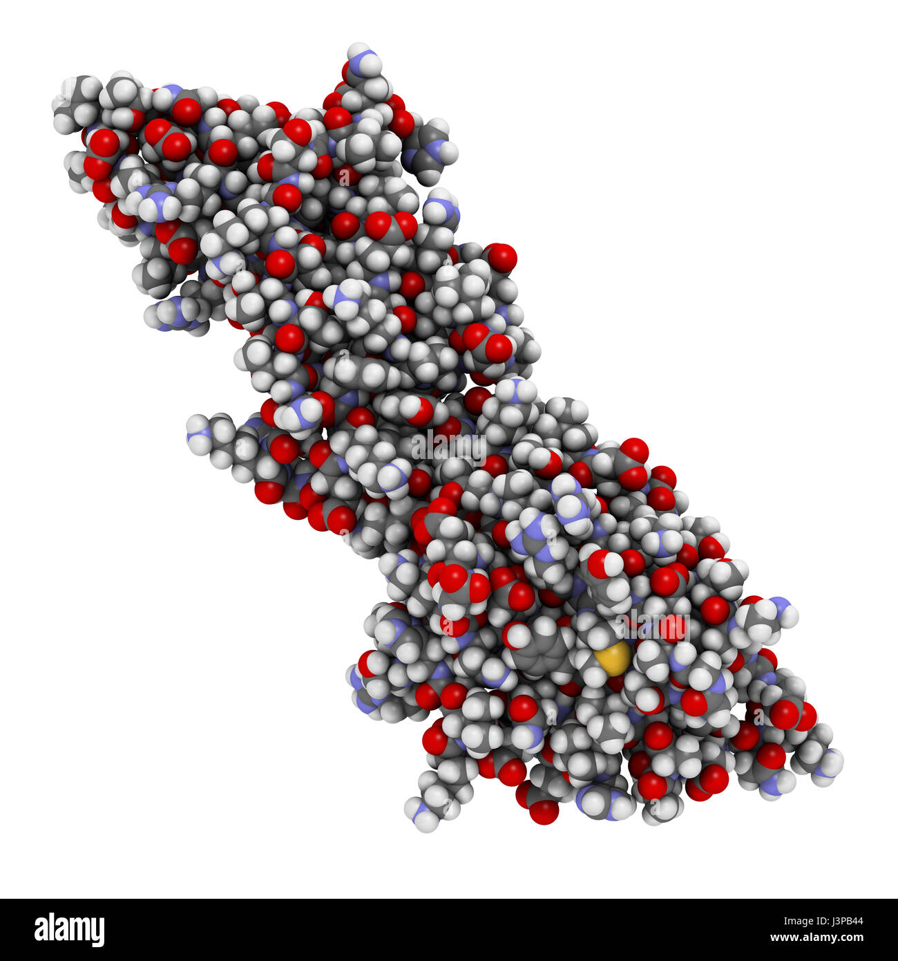 Mort programmée-ligand 1 (PD-L1). Produit par tumeur afin de supprimer le système immunitaire. Inhibiteurs du PD-L1 et PD-1 interaction sont une importan Banque D'Images