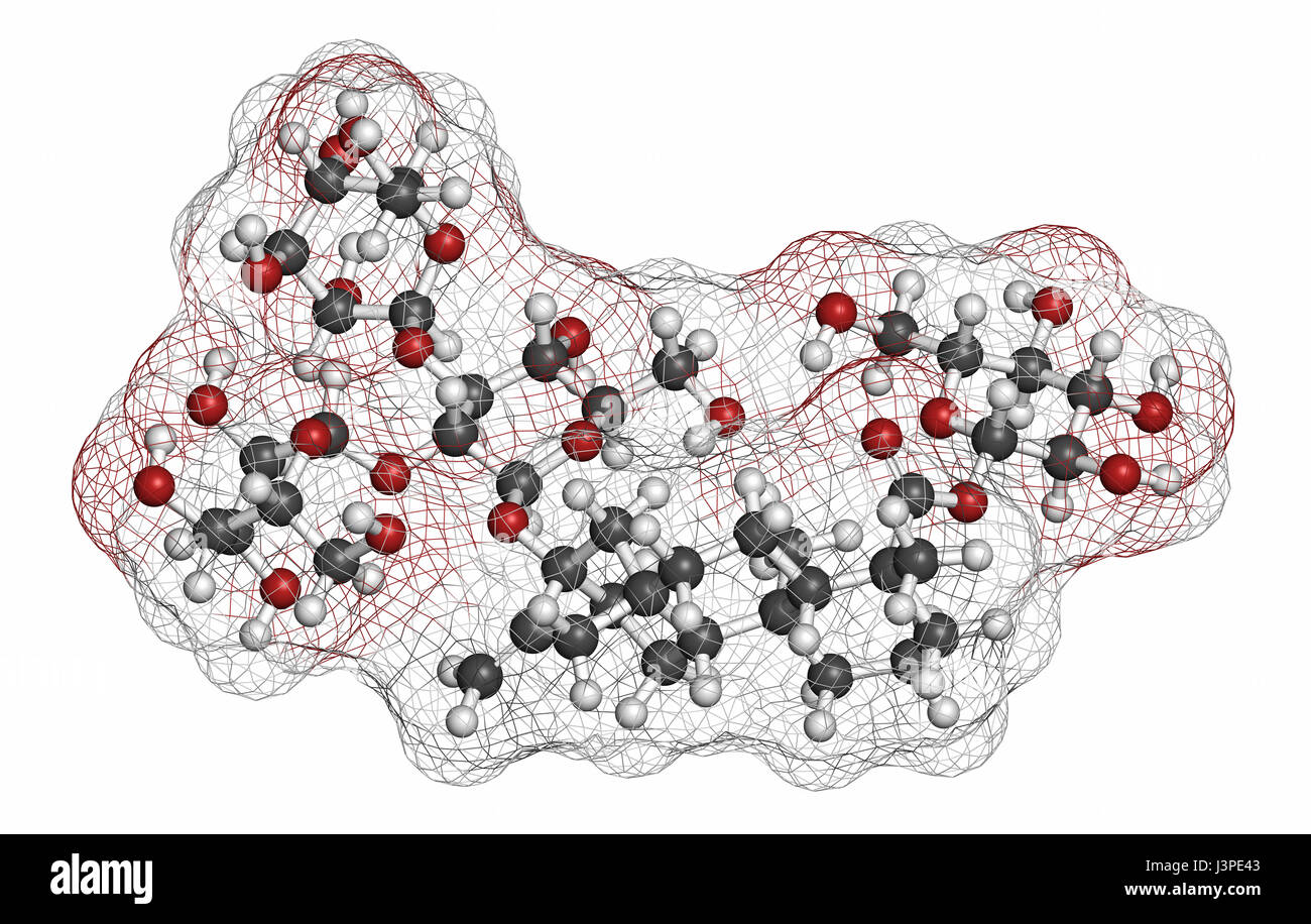 Rebaudioside une molécule. L'un des principaux glycosides de stéviol trouvés dans les plantes de stevia, utilisé comme édulcorant. Les atomes sont représentés comme des sphères avec convention Banque D'Images