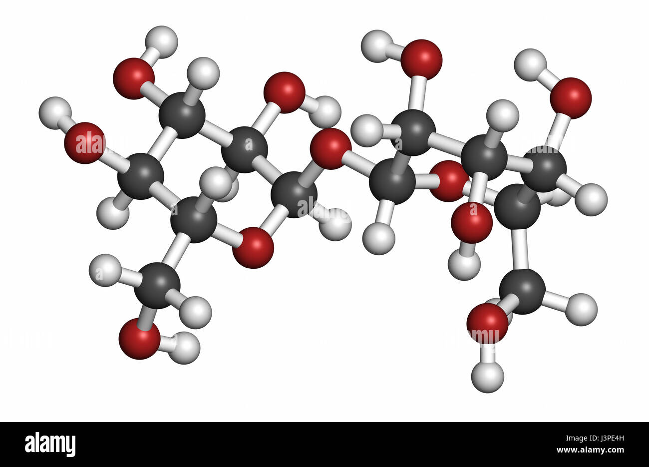 Le tréhalose (mycose, tremalose) molécule de sucre. Les atomes sont représentés comme des sphères classiques avec codage couleur : blanc (hydrogène), carbone (gris), l'oxygène Banque D'Images