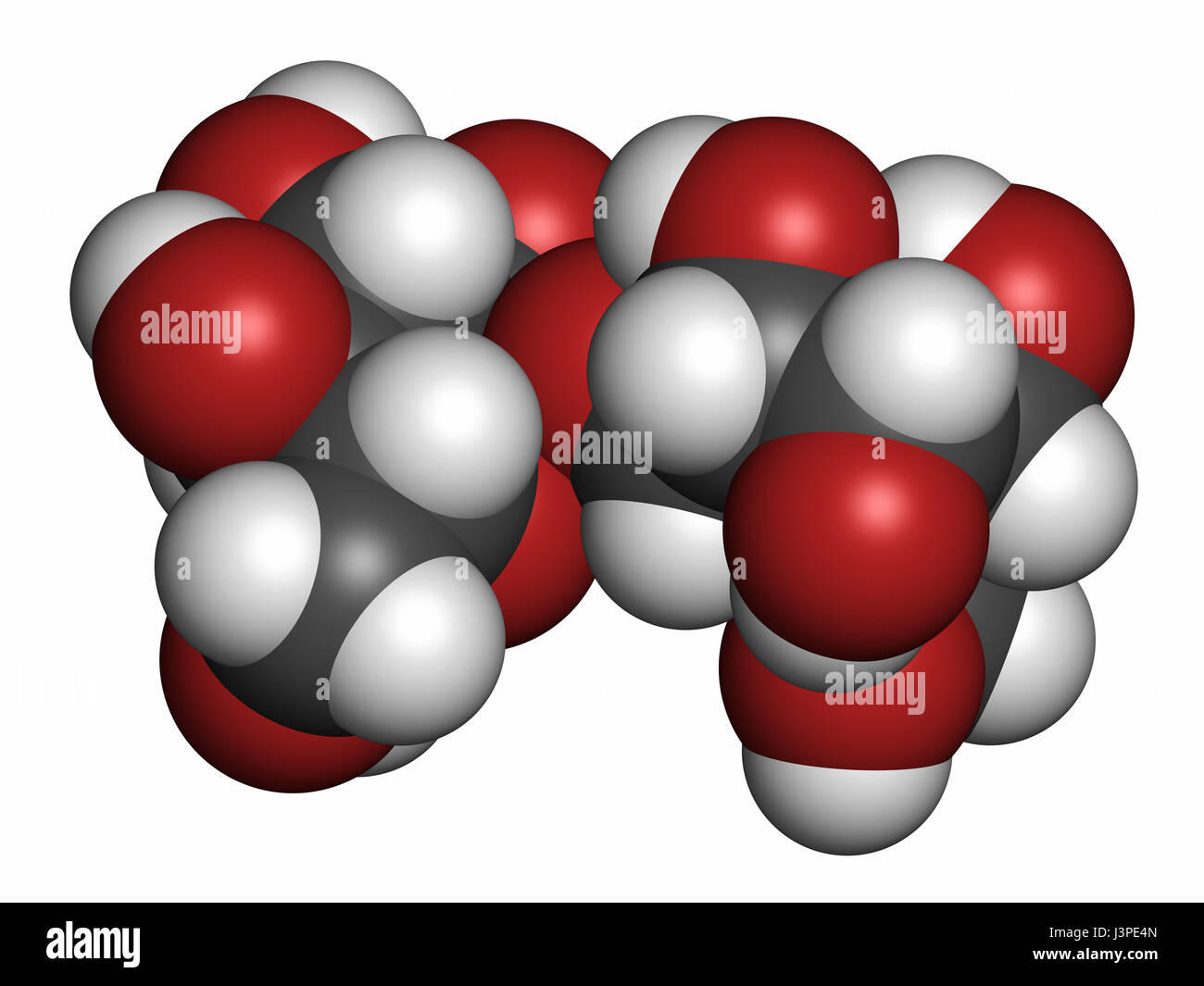 Le tréhalose (mycose, tremalose) molécule de sucre. Les atomes sont représentés comme des sphères classiques avec codage couleur : blanc (hydrogène), carbone (gris), l'oxygène Banque D'Images