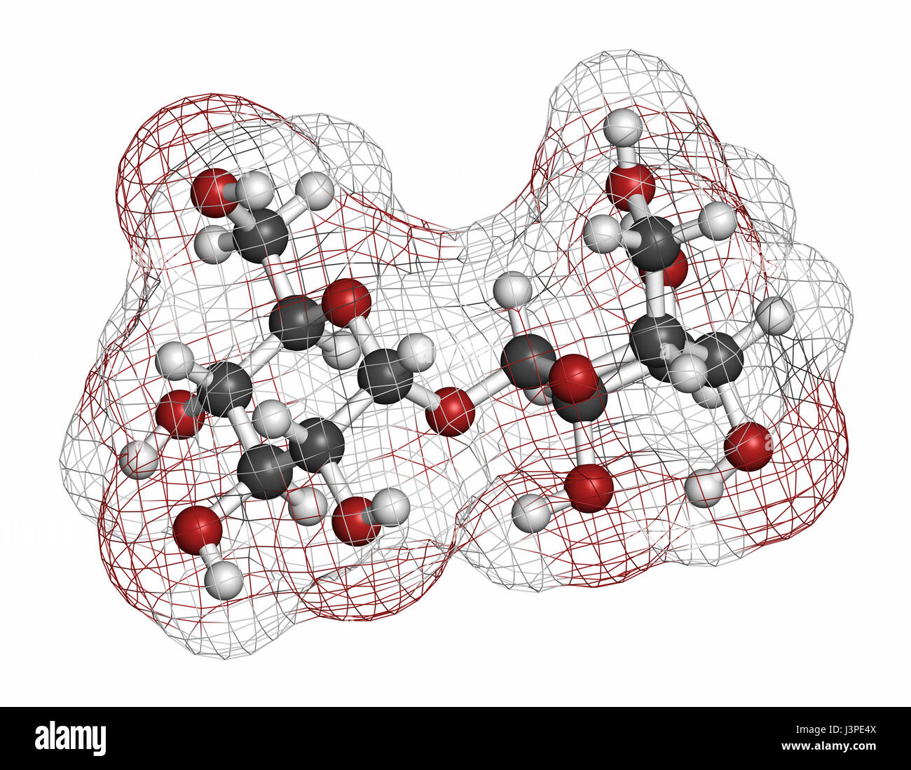 Le tréhalose (mycose, tremalose) molécule de sucre. Les atomes sont représentés comme des sphères classiques avec codage couleur : blanc (hydrogène), carbone (gris), l'oxygène Banque D'Images