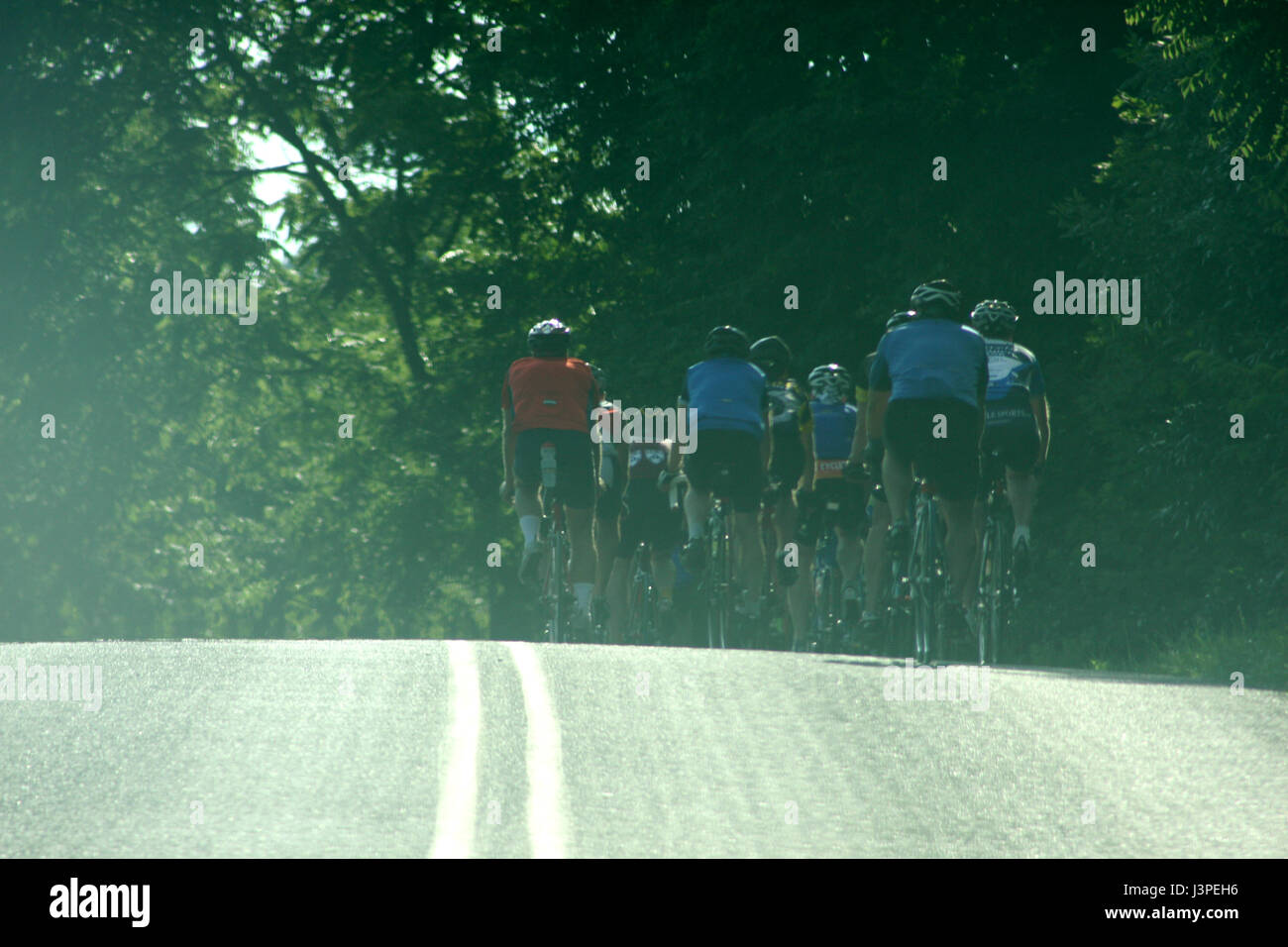 Groupe d'hommes la bicyclette sur la route en journée d'été Banque D'Images