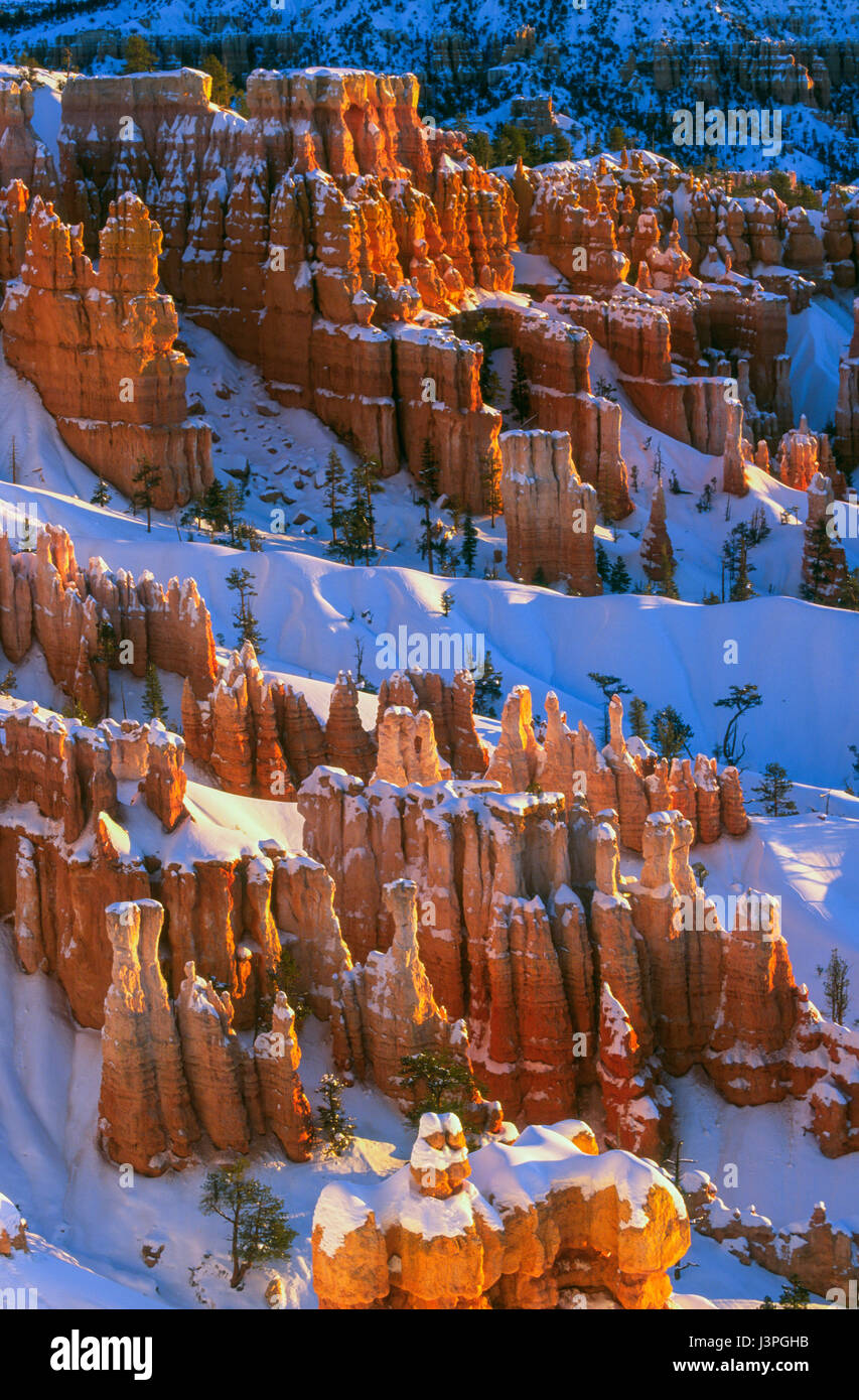 Coucher du soleil d'hiver au parc National de Bryce Canyon, Sunrise Point Banque D'Images