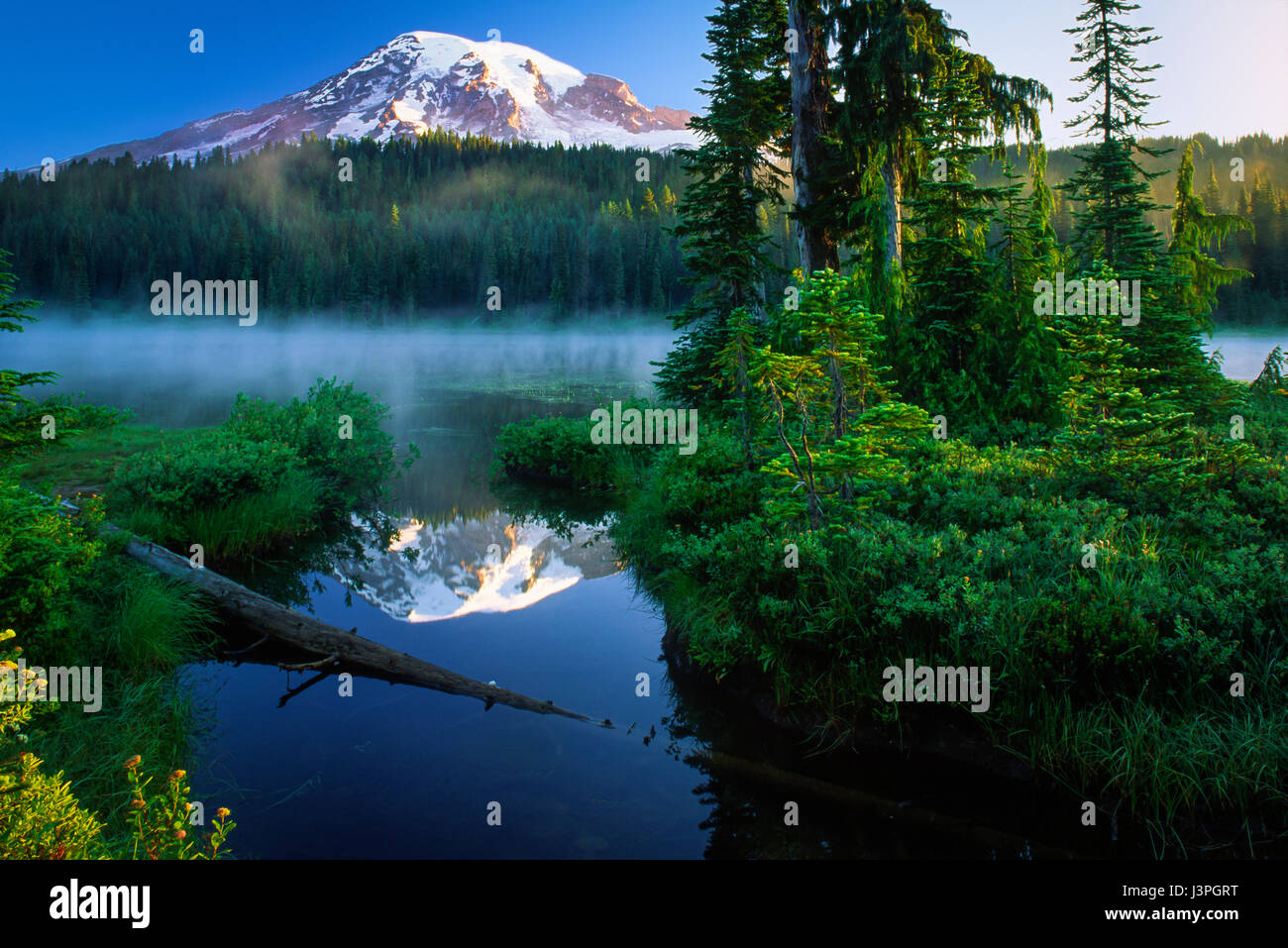 La réflexion dans les lacs du parc national du mont Rainier dans l'état de Washington Banque D'Images