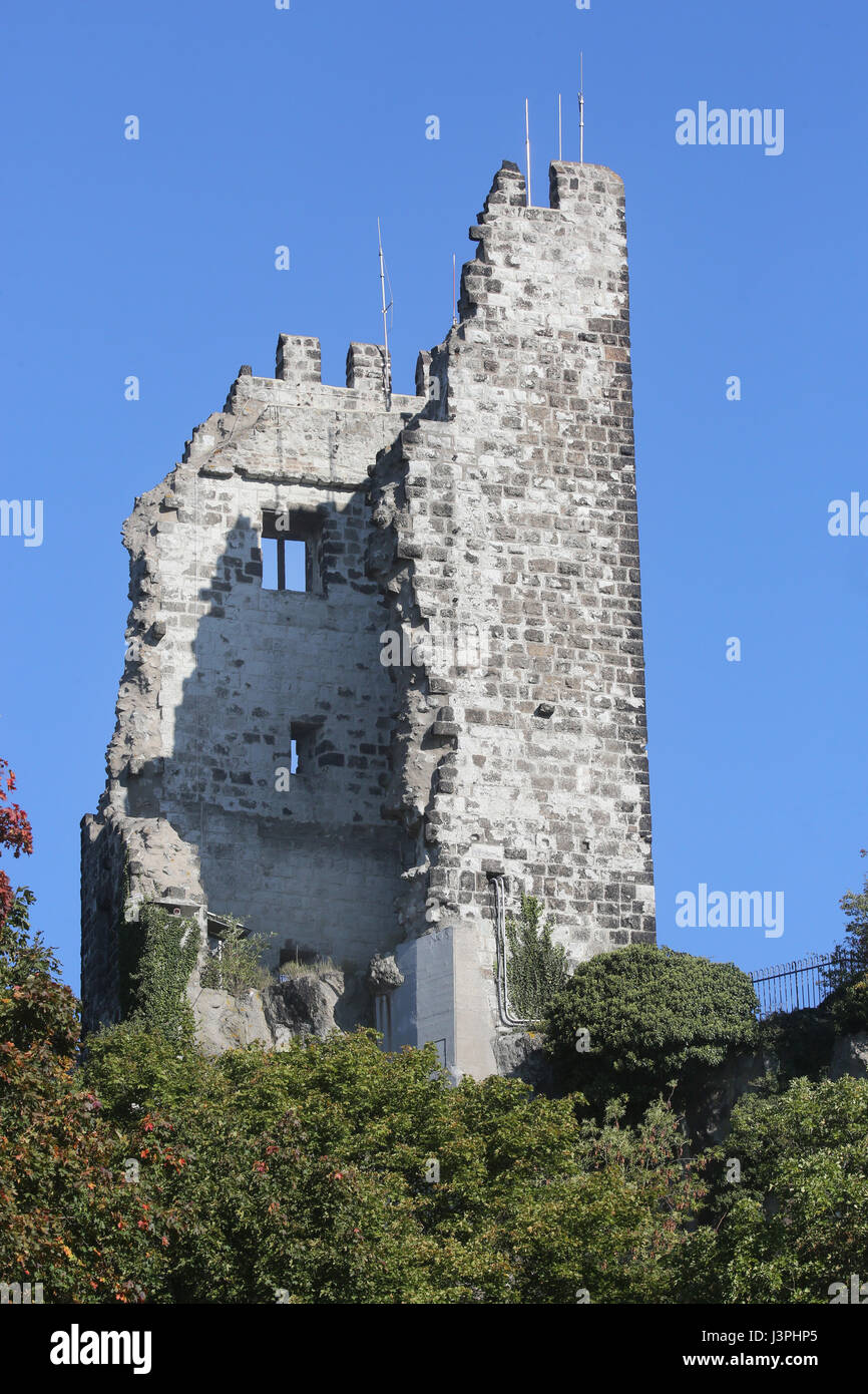 L'Allemagne, la montagne Drachenfels, Königswinter, Rhénanie du Nord-Westphalie,Siebengebirge Banque D'Images