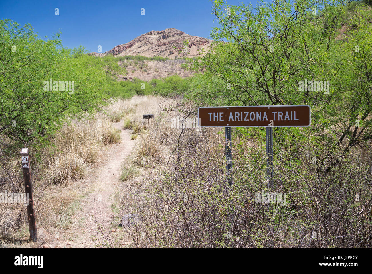 Patagonia, Arizona - l'Arizona Trail, un 800-mile National Scenic Trail qui s'étend de la frontière mexicaine à Utah. Banque D'Images