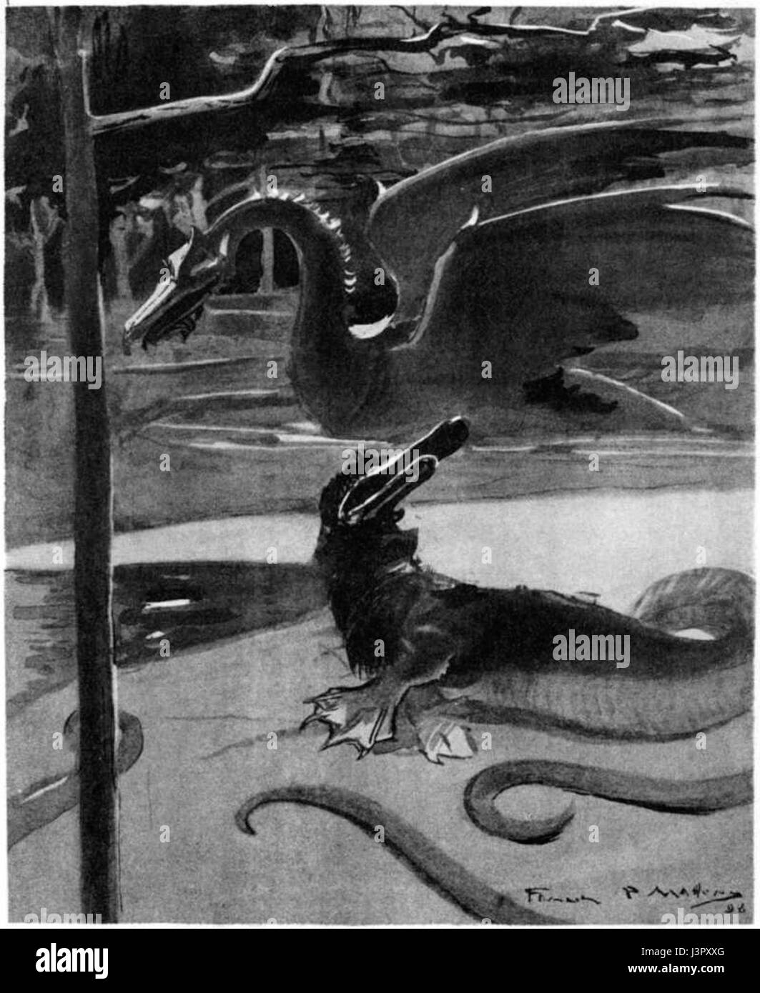 Kangourou malade 04 Banque D'Images