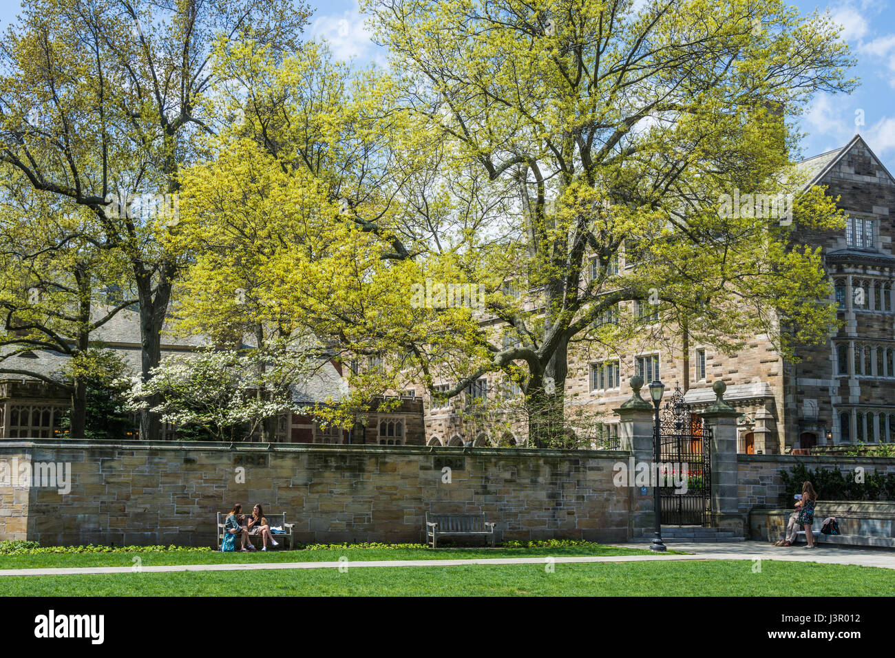 L'université de Yale à New Haven Connecticut Banque D'Images