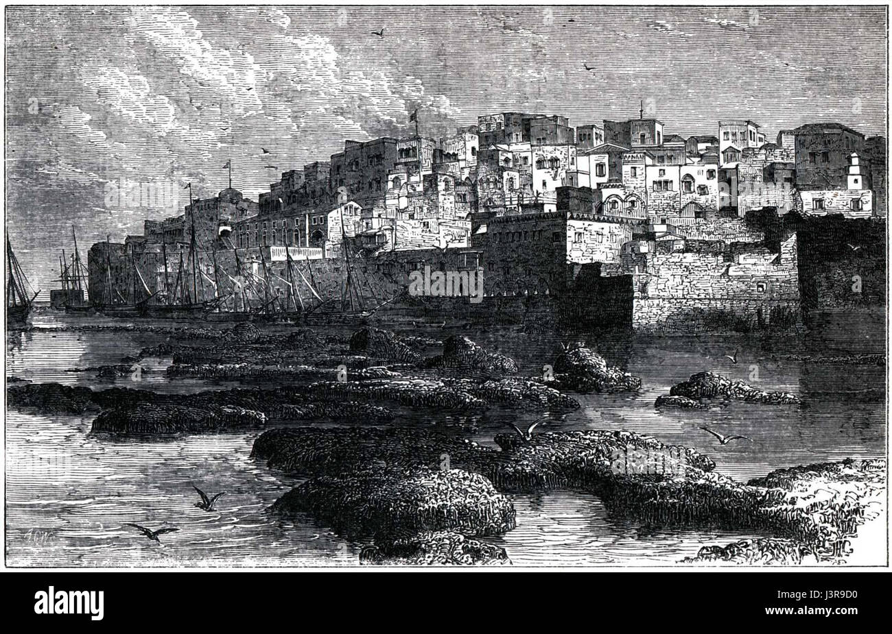 La gravure de Jaffa est probablement une œuvre d'art ou une carte liée à la ville de Jaffa, en Israël. Des gravures de ce type représentaient historiquement des caractéristiques culturelles, architecturales ou géographiques clés de la région. Banque D'Images