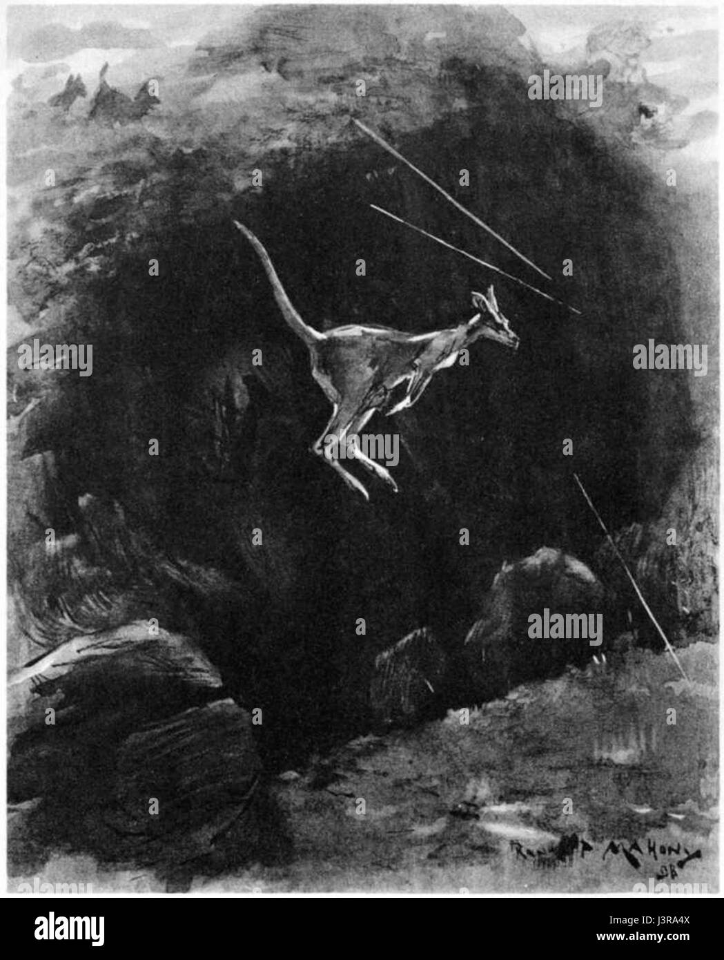 Kangourou malade 08 Banque D'Images