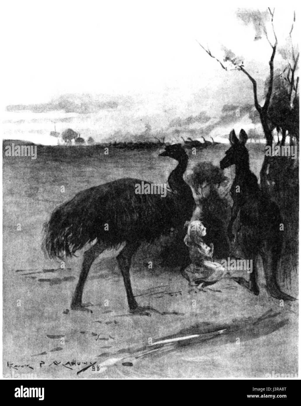 Cette illustration représente un kangourou, un marsupial australien natif connu pour ses grandes pattes arrière, sa queue solide et sa capacité à sauter sur de longues distances. Les kangourous sont un symbole de la faune australienne et sont souvent vus dans les zones sauvages et protégées. Banque D'Images