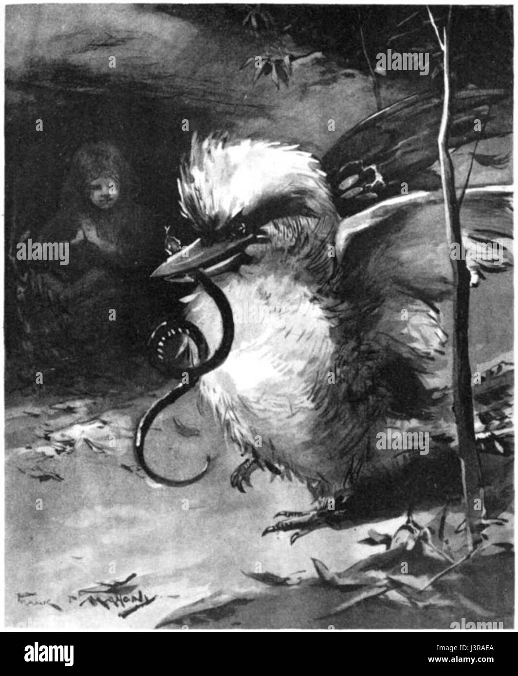 Description d'un kangourou malade, possiblement dans un contexte zoologique ou de soins aux animaux. Il s'agit d'un kangourou souffrant d'une maladie ou d'un problème de santé. Banque D'Images