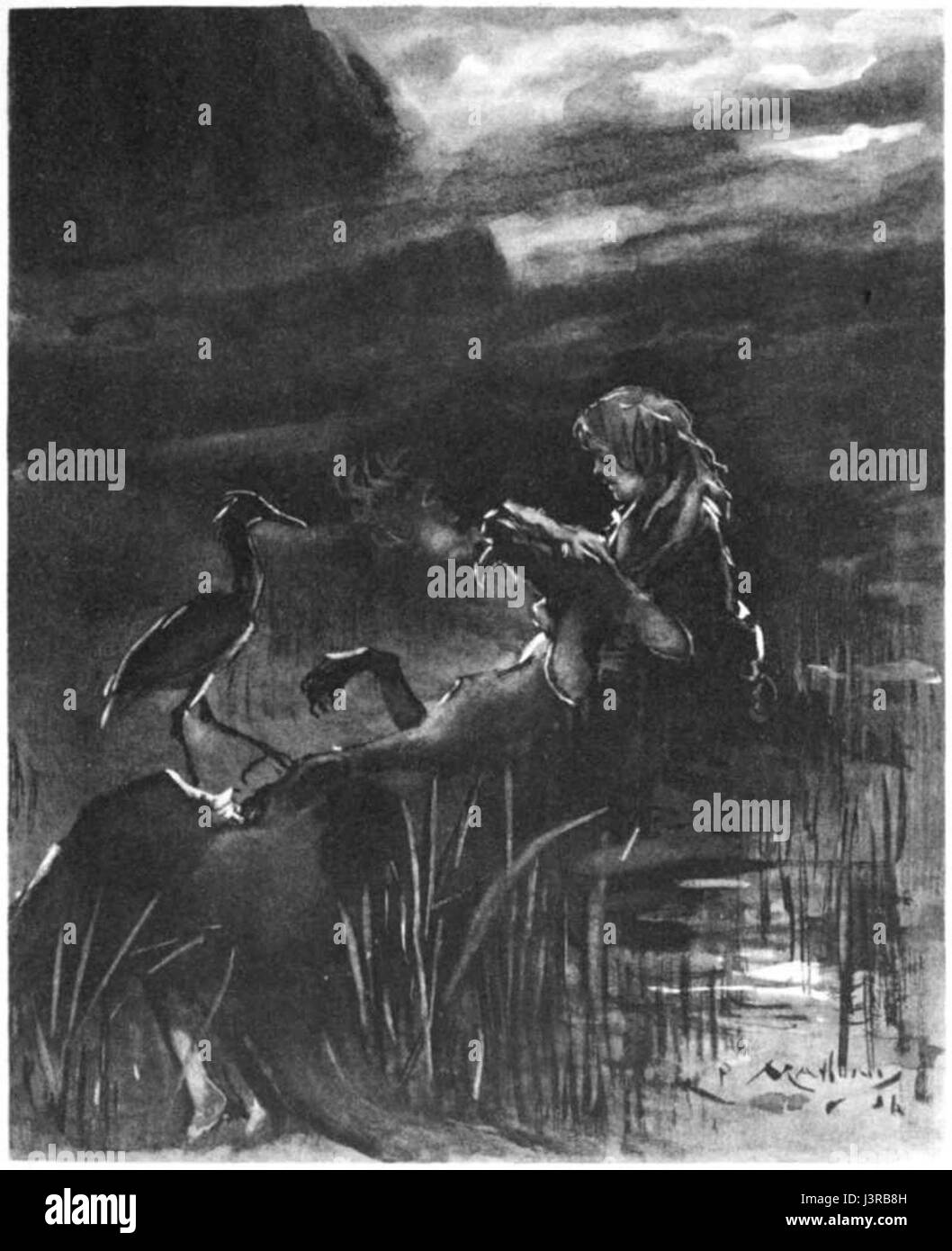 Kangourou malade 09 Banque D'Images