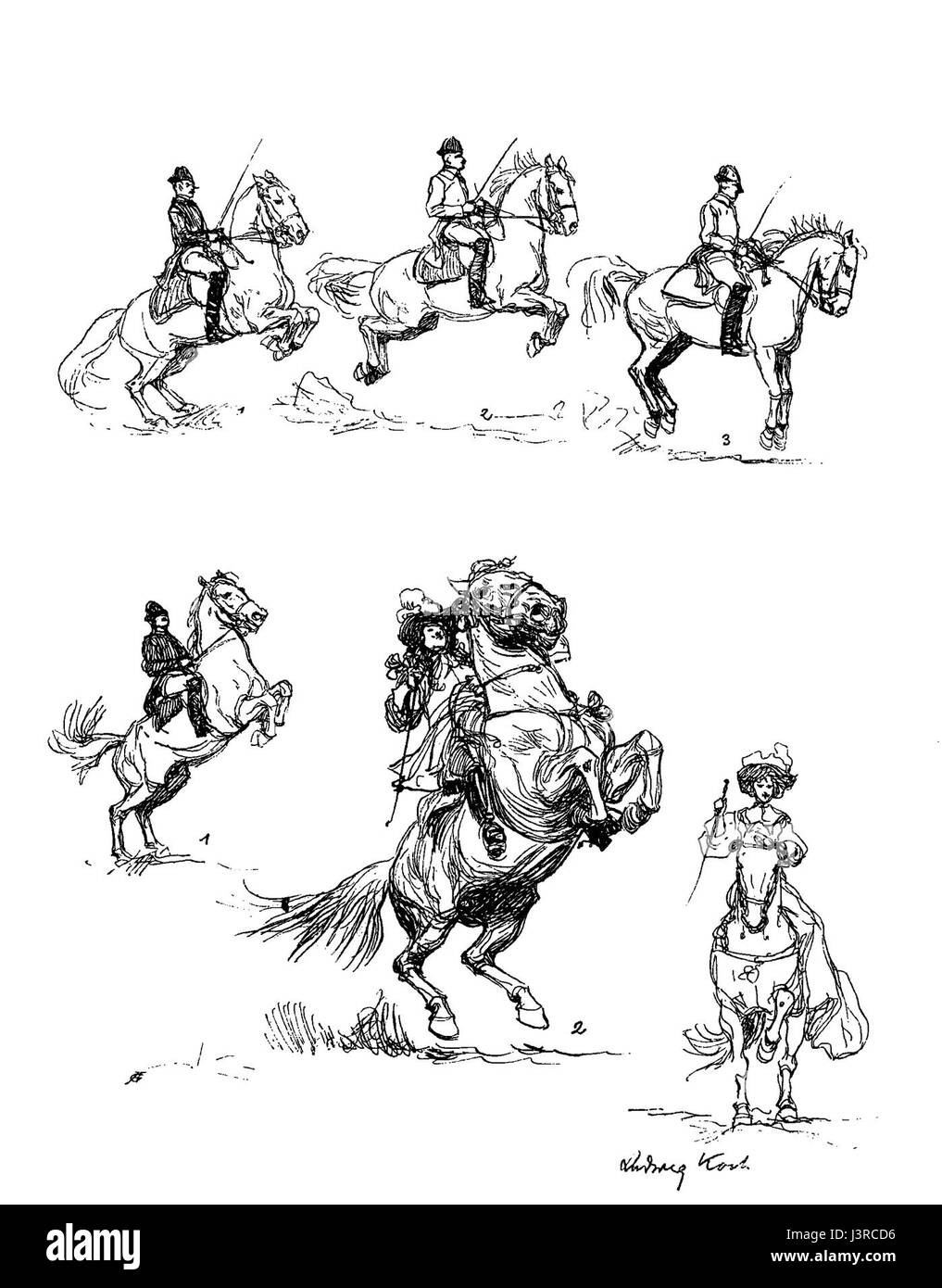 KochBallotadeCourbetteBW Banque D'Images