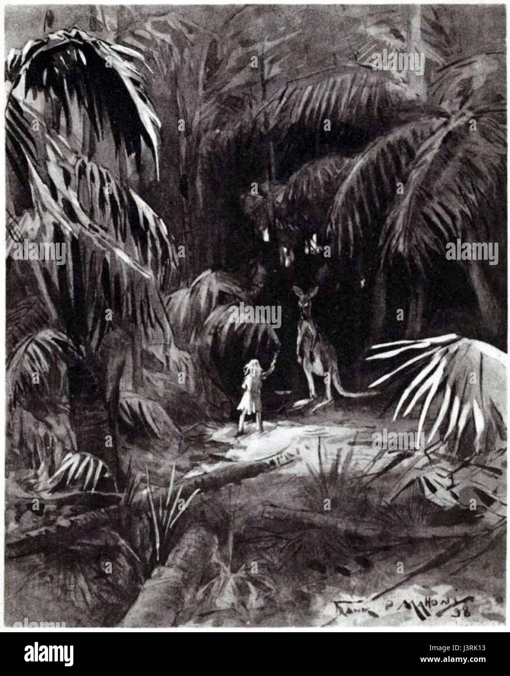 L'image montre un kangourou, marsupial australien emblématique, représenté dans un cadre naturel, mettant en valeur ses caractéristiques distinctives telles que de grandes pattes arrière et une longue queue. Banque D'Images