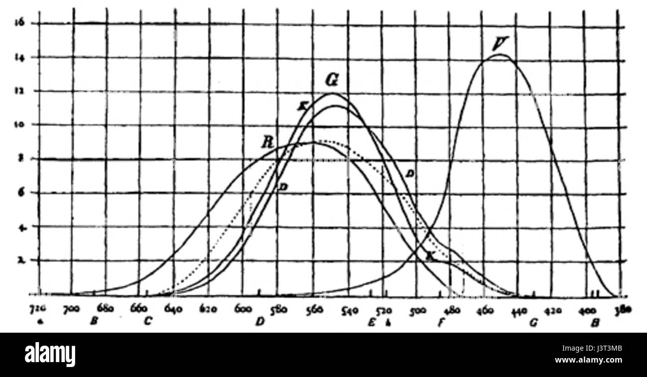 L'œuvre intitulée 'KoeFig' explore la représentation des animaux, en se concentrant sur le bétail, et présente une représentation culturelle ou agricole qui reflète la vie agricole traditionnelle. Banque D'Images