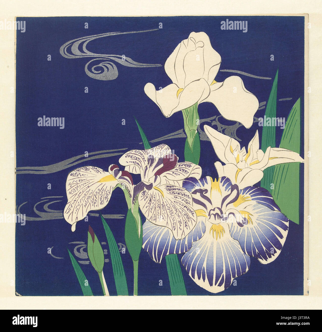 'Irissen' est un tableau conservé dans le Rijksmuseum, créé par un artiste dont le travail se concentre sur les fleurs, en particulier les iris. L'œuvre illustre l'art botanique néerlandais et la tradition du genre de détails complexes. Banque D'Images