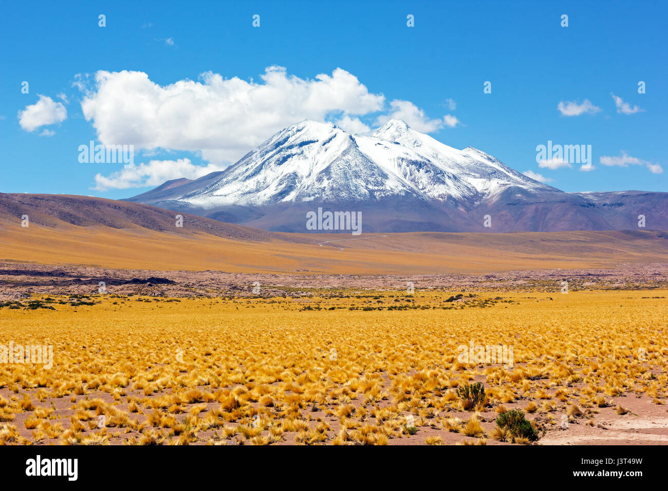 Pic de neige montagnes dans le désert, San Pedro de Atacama, Chili, Amérique du Sud. Puna grassland dans l'Altiplano chilien désert. Banque D'Images