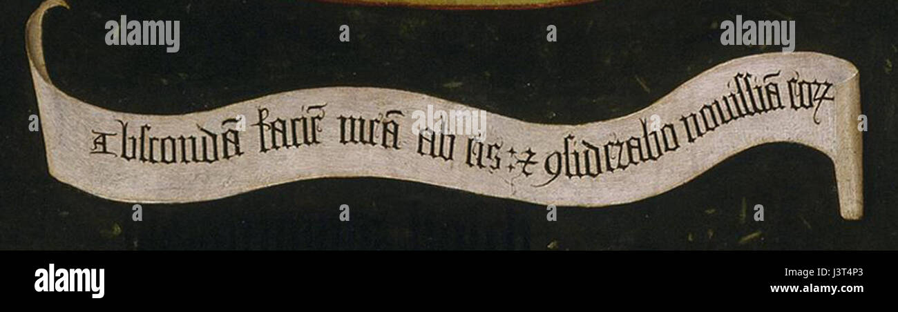 Ceci fait référence à une peinture célèbre de Hieronymus Bosch, connu pour représenter les péchés mortels. L'inscription du bas ajoute probablement une signification contextuelle ou symbolique à l'œuvre, mettant l'accent sur les thèmes moraux. Banque D'Images