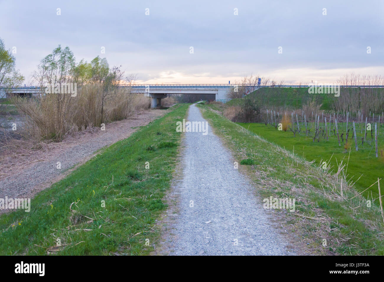 Verte campagne chemin, paysage de collines, entre les arbres Banque D'Images