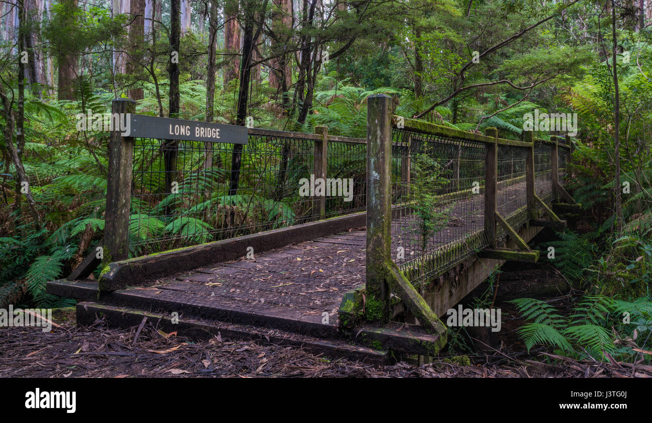 Un pont en bois dans une forêt tropicale, avec un nom long pont signe Banque D'Images