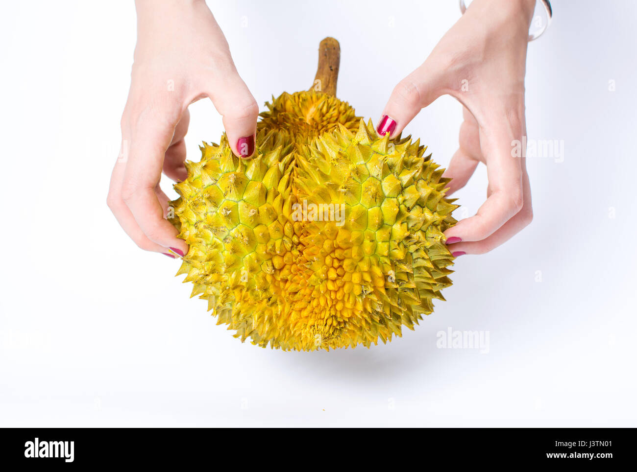 Mains tenant sharp durian fruit tropical isolé Banque D'Images