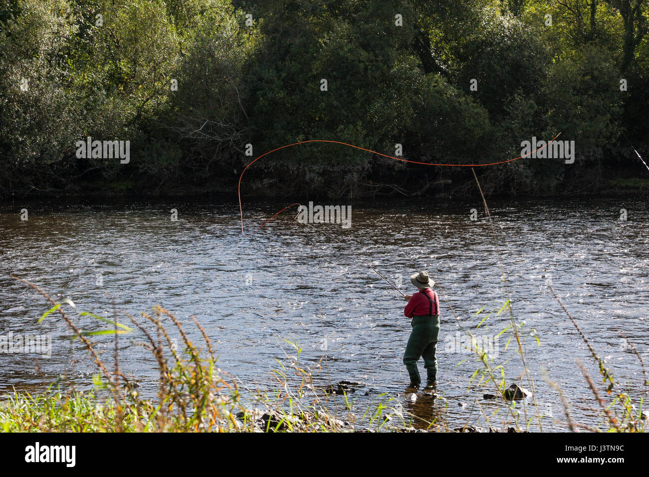 Fly fisherman casting sa ligne Banque D'Images