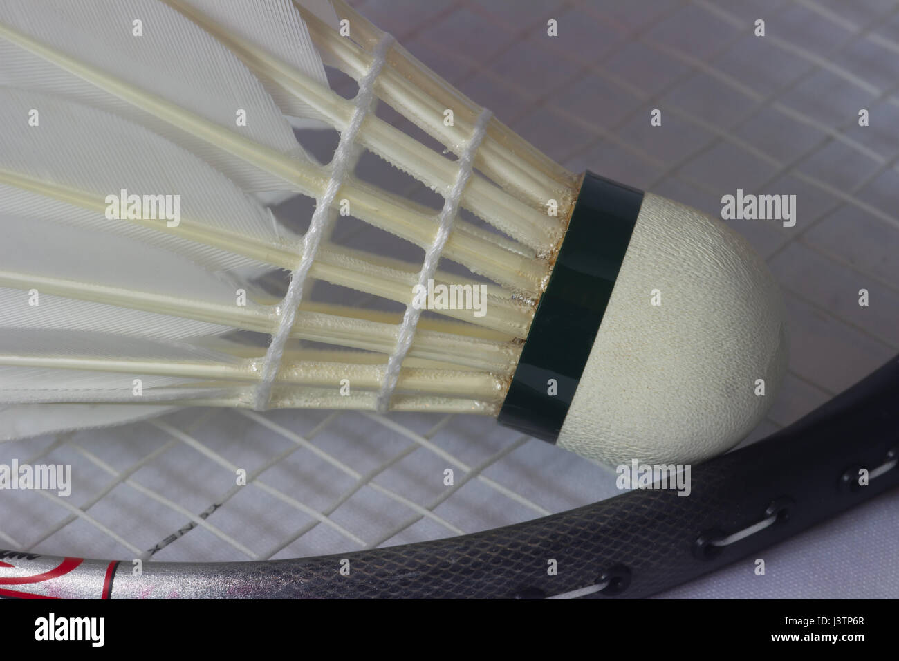 Volant de badminton en plumes sur racket Banque D'Images