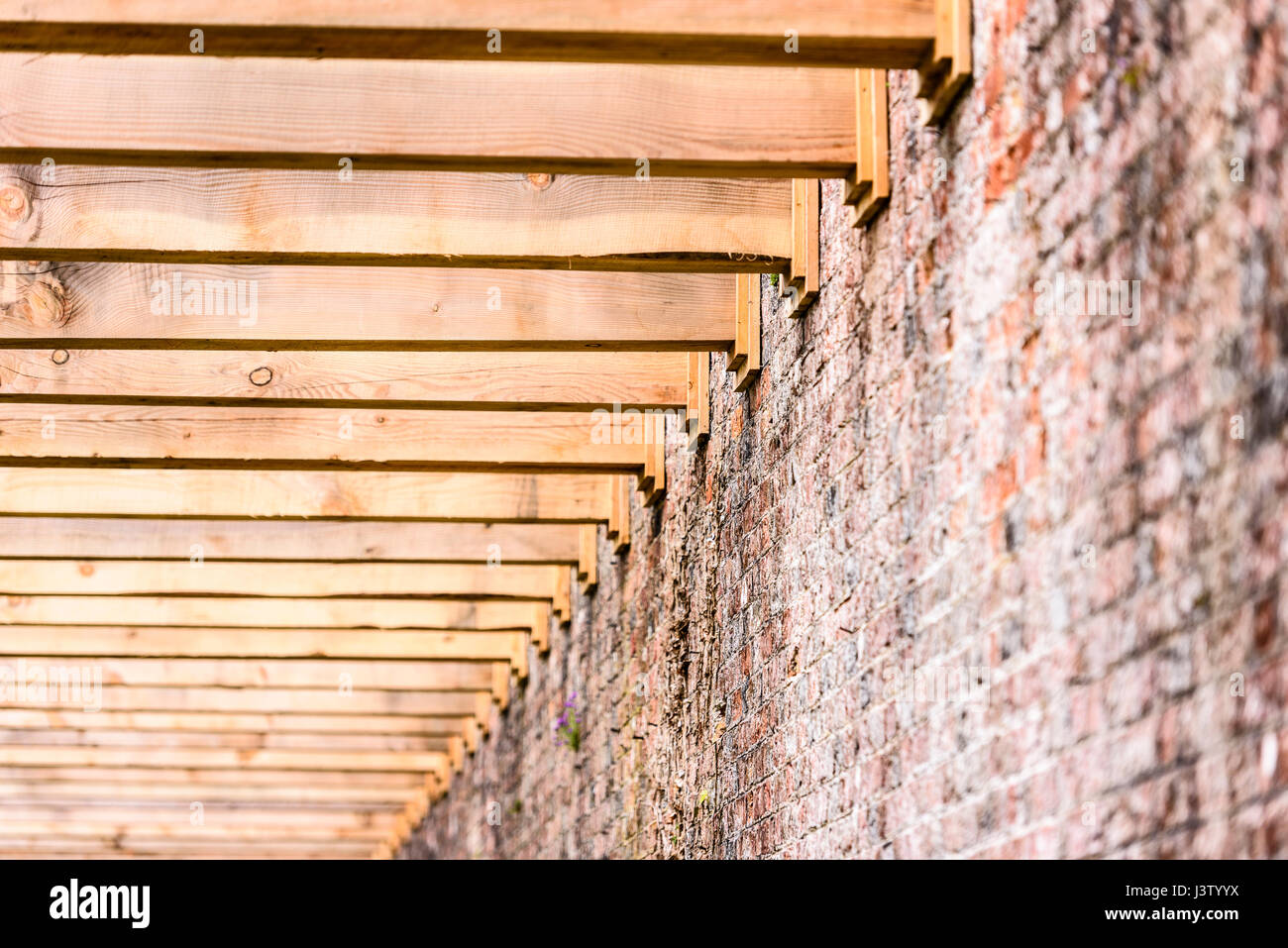 Poutres en bois lourd d'une pergola attaché à la brique du mur d'un jardin clos. Banque D'Images