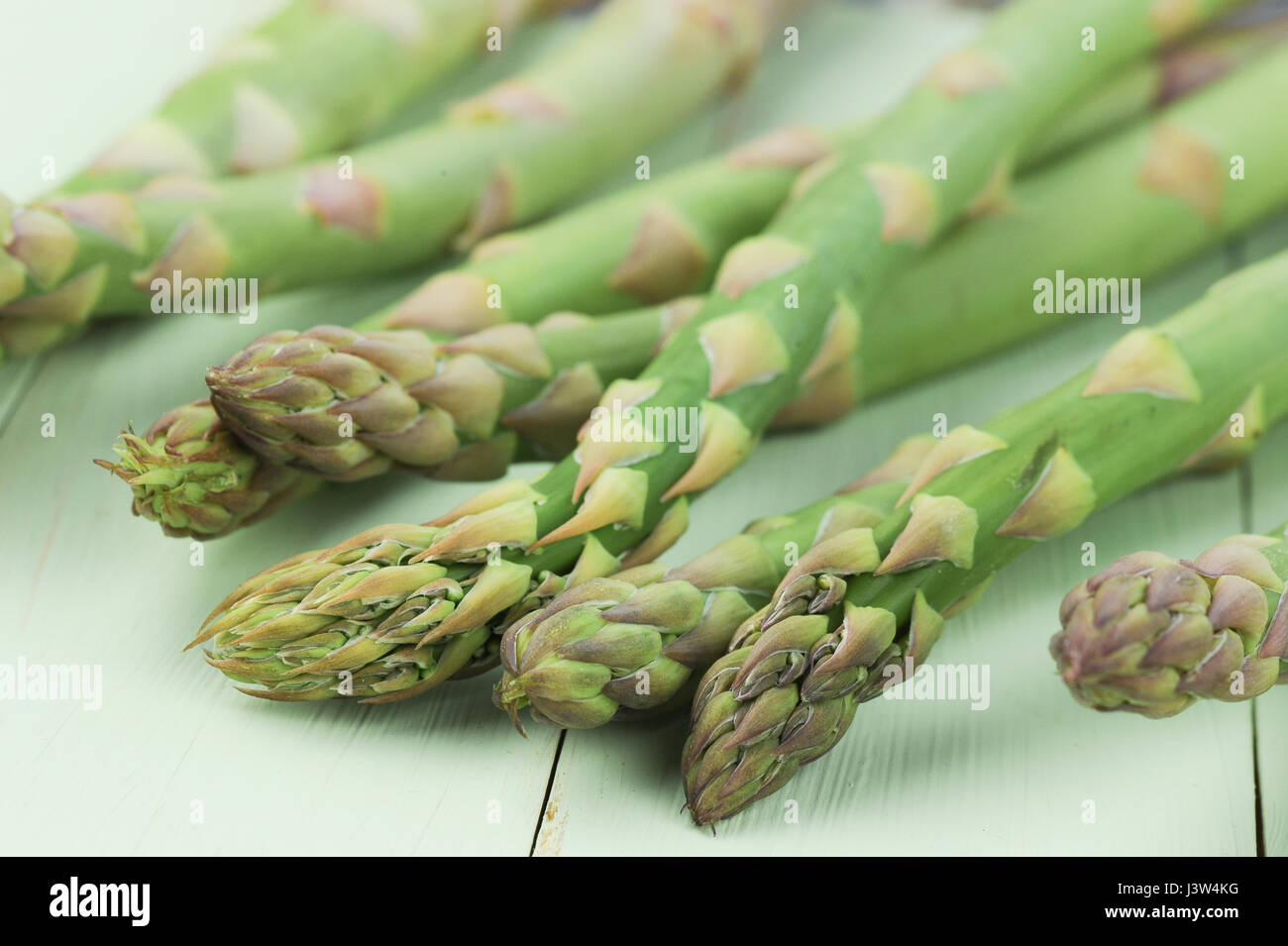 Les têtes d'asperges, portrait Banque D'Images