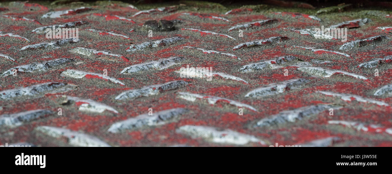 Détail d'un plancher d'acier plaque de diamant Banque D'Images