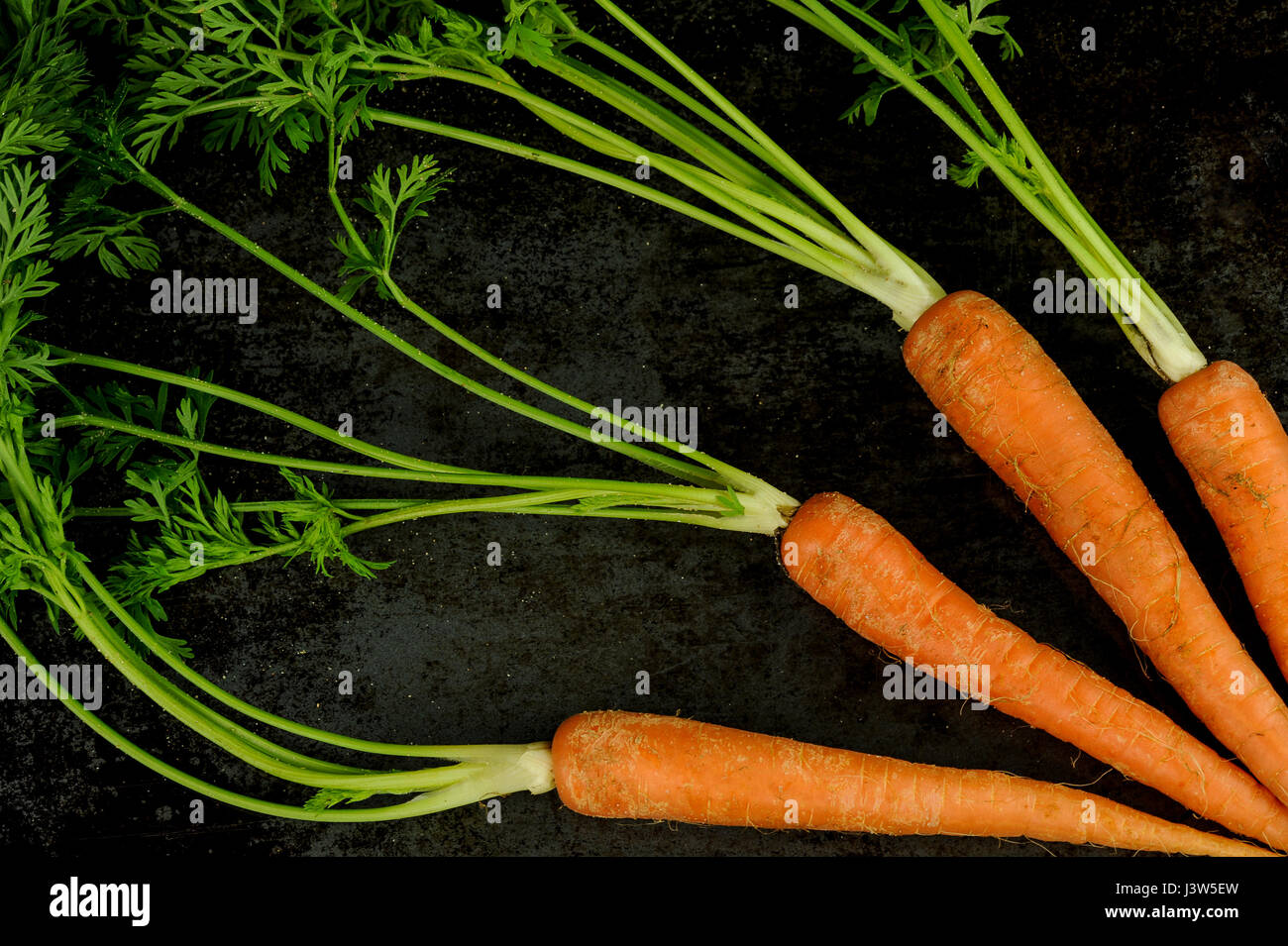 Arrangement de carottes sur fond noir, vue du dessus Banque D'Images