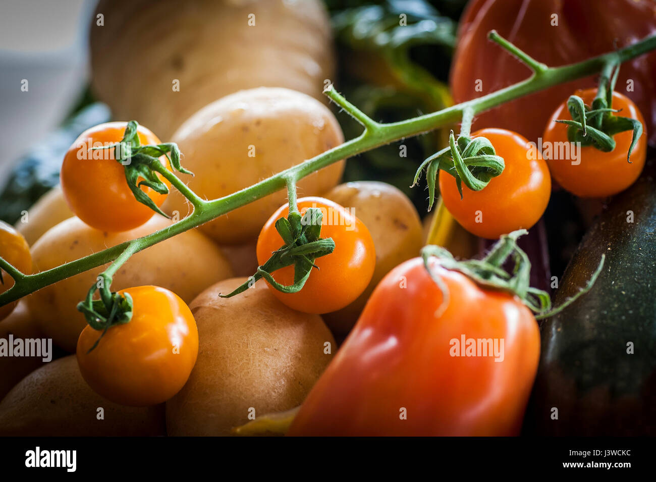 Divers légumes frais Source alimentaire de la nutrition Panais Tomate Ingrédients Ingrédients pour la cuisson des pommes de terre Banque D'Images