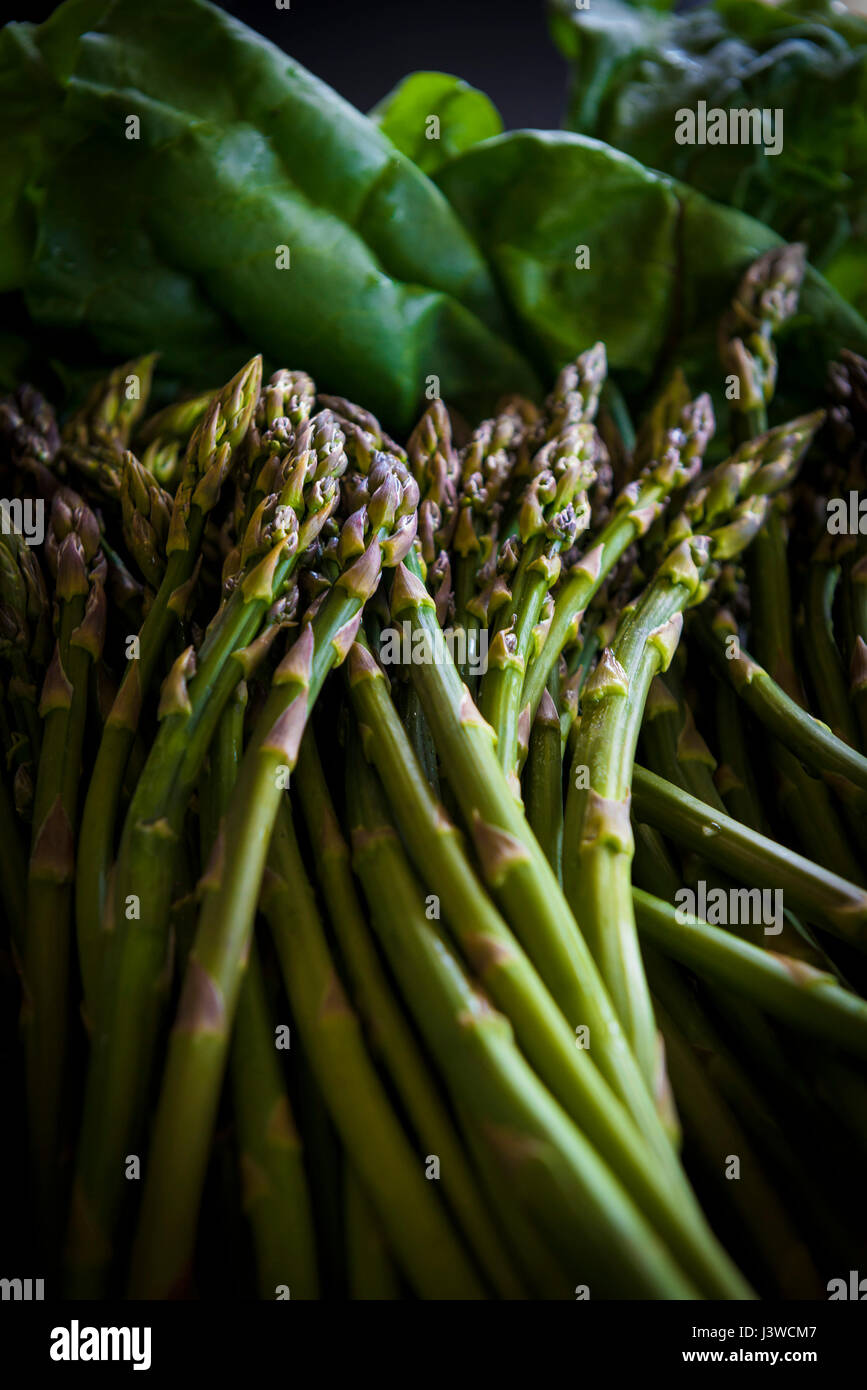 L'asperge Asparagus officinalis comestible alimentaire légumes de printemps tendre délicatesse les turions d'accompagnement apéritif nutritifs Banque D'Images