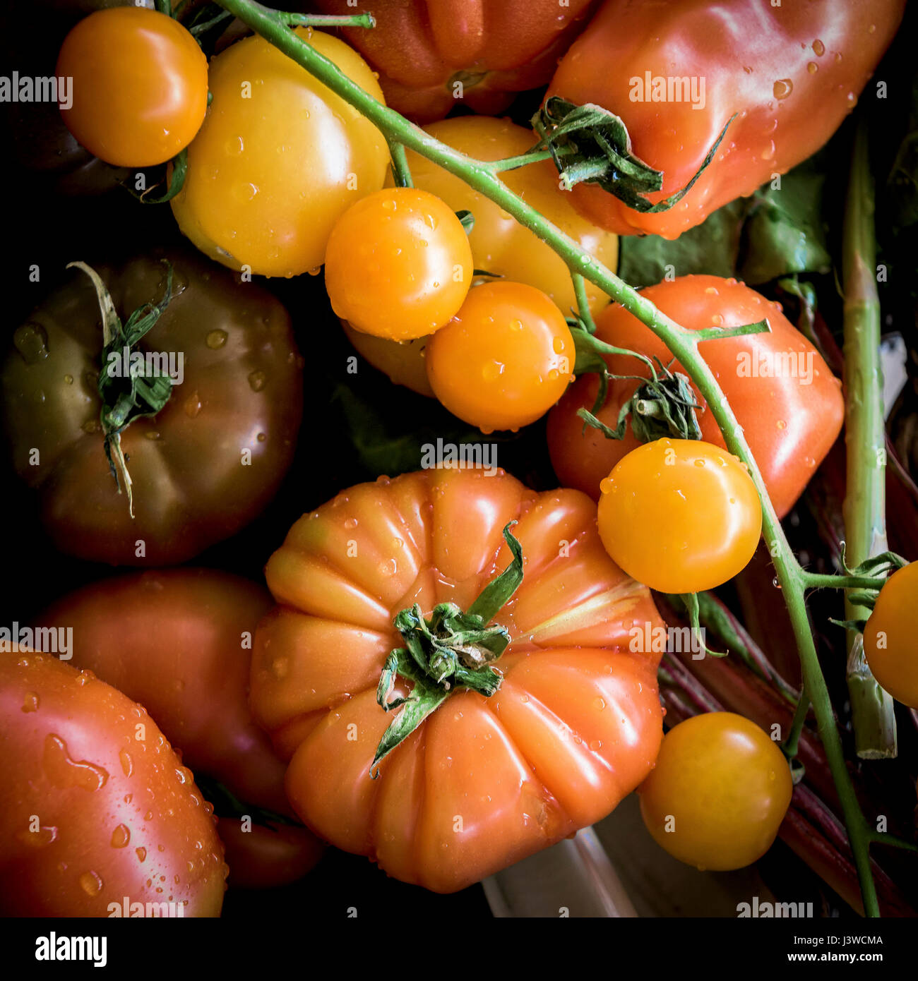 Une vue rapprochée de divers types de fruits tomates ingrédient alimentaire Aliments Naturels Banque D'Images
