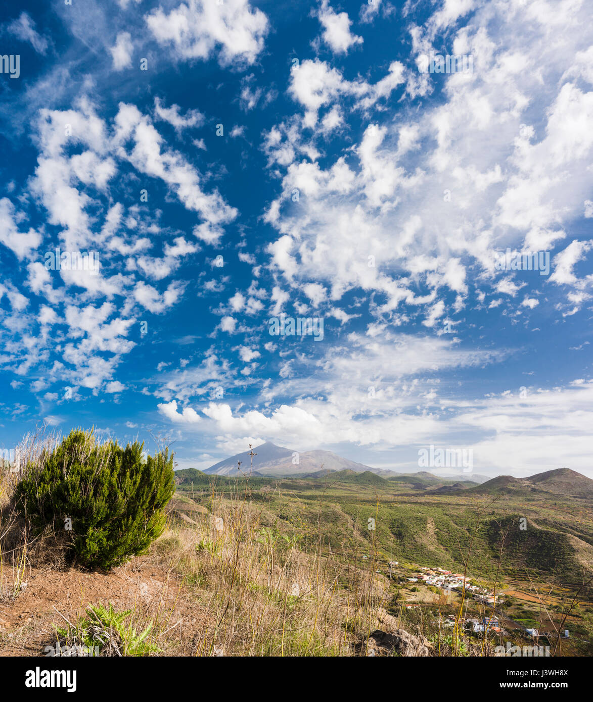 Vue vers le volcan Teide depuis Puerto de Erjos, Tenerife, avec des formations spectaculaires de nuages de maquereau et de nombreux jeunes cônes volcaniques monogénétiques Banque D'Images