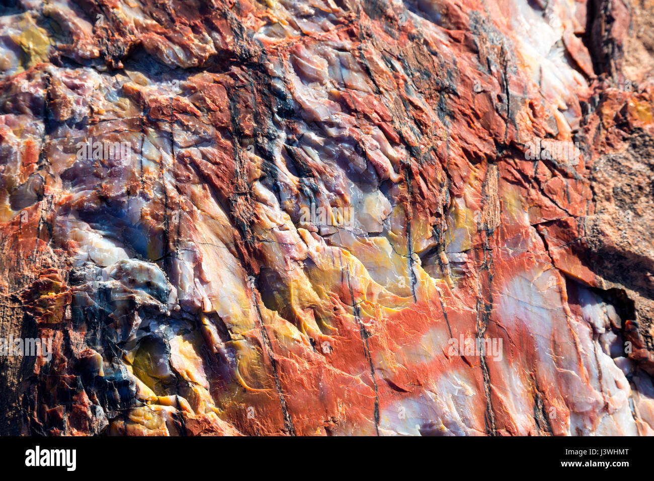 Le bois pétrifié dans la région de la forêt de cristal de Petrified Forest National Park. Banque D'Images