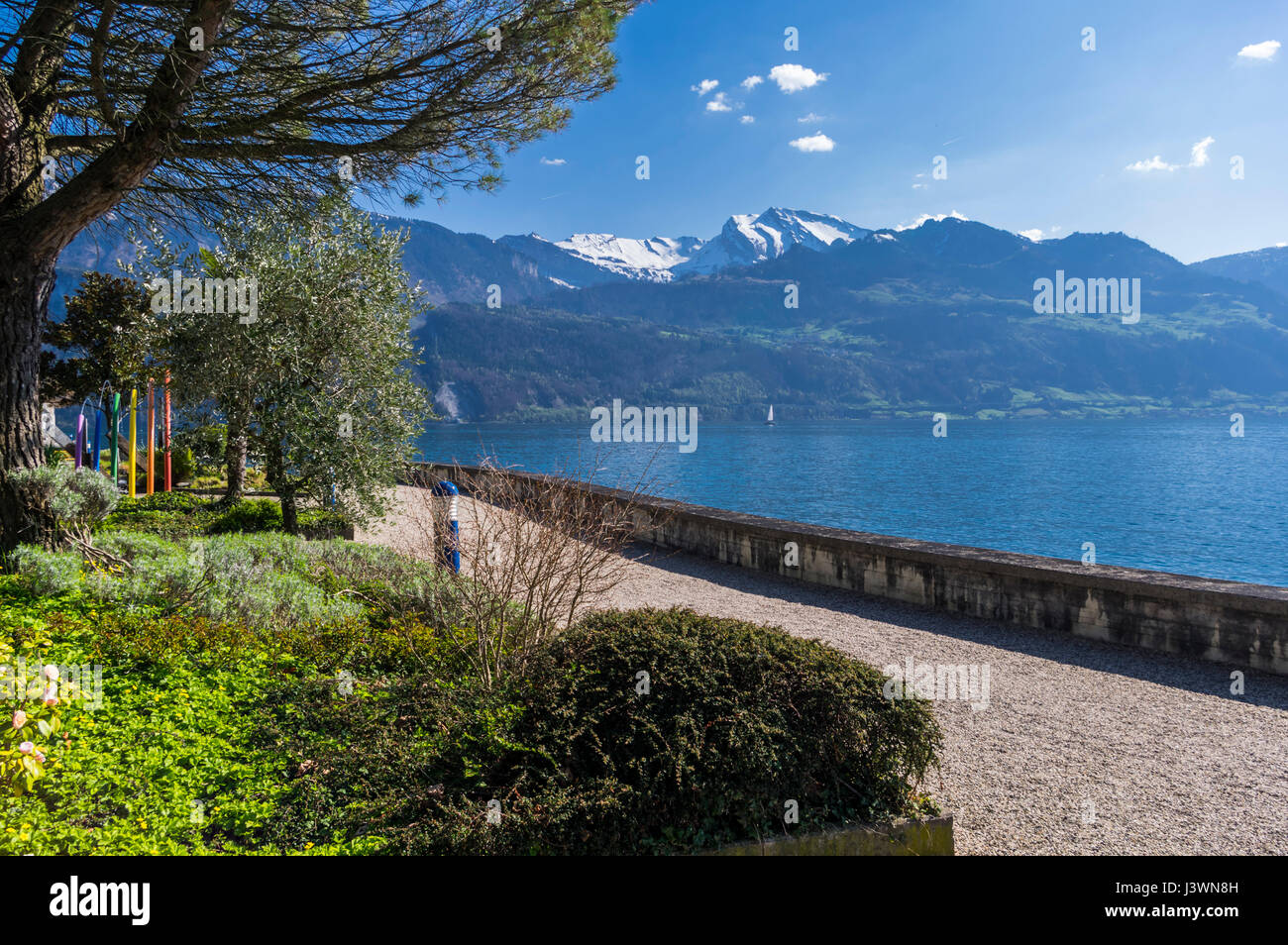Vue sur le lac des Quatre-Cantons (Vierwaldstättersee) et les Alpes suisses depuis le waterfront park de Weggis, Suisse, sur une journée de printemps ensoleillée. Banque D'Images