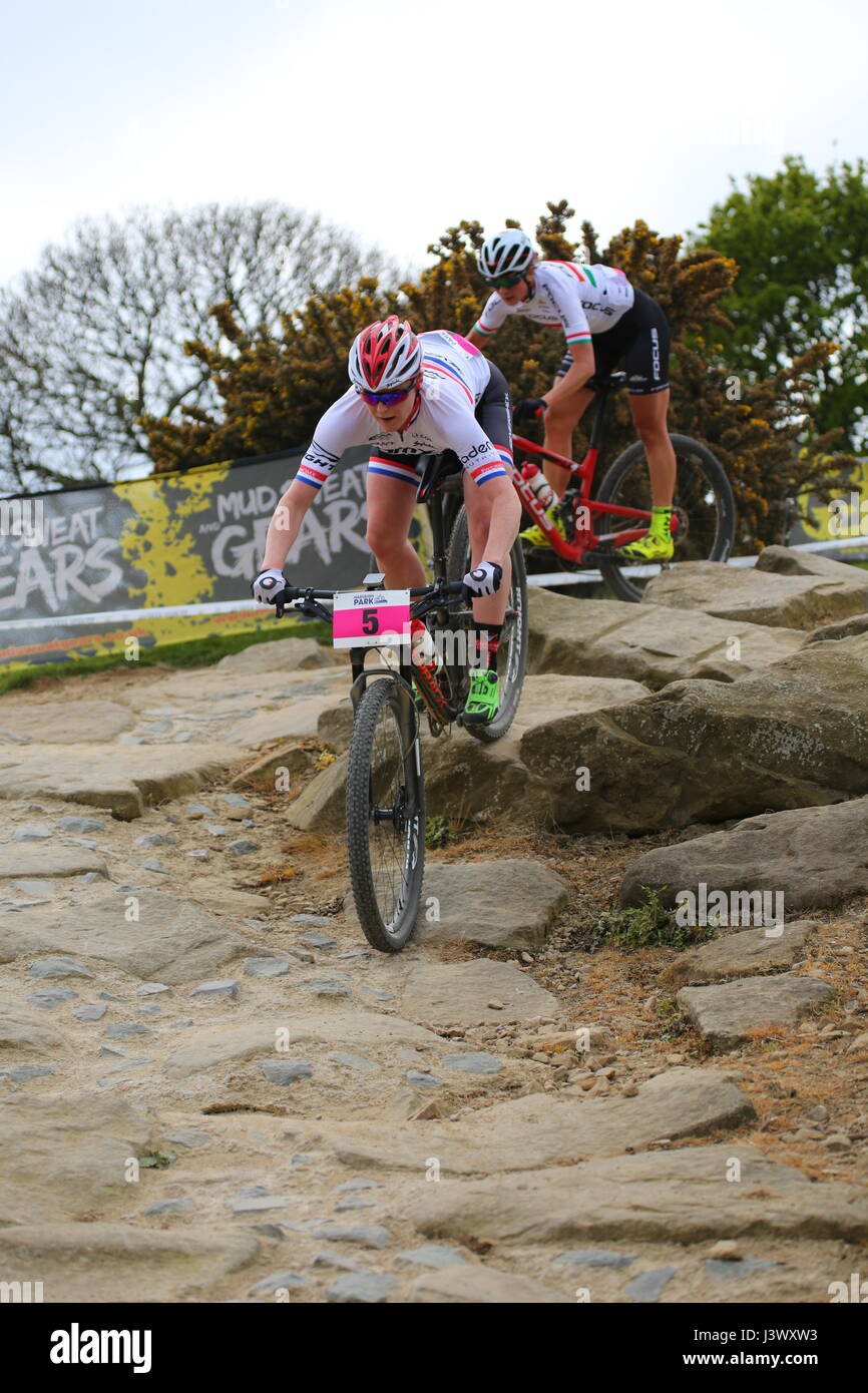 Hadleigh, Essex. UK. 7 mai, 2017. La course est la plus grande de l'année, pour la France, le cross-country, et avec hors catégorie Etat Signification cocktail points UCI sont disponibles, c'est une perspective passionnante pour les coureurs nationaux et internationaux. Pour les élites hommes et femmes, Hadleigh Park International sera de jouer un rôle déterminant dans la préparation des coureurs qui prendront le départ de Nove Mesto Gratuit en République tchèque afin de lancer leur campagne de Coupe du Monde à peine deux semaines après. Penelope Barritt/Alamy Live News Banque D'Images