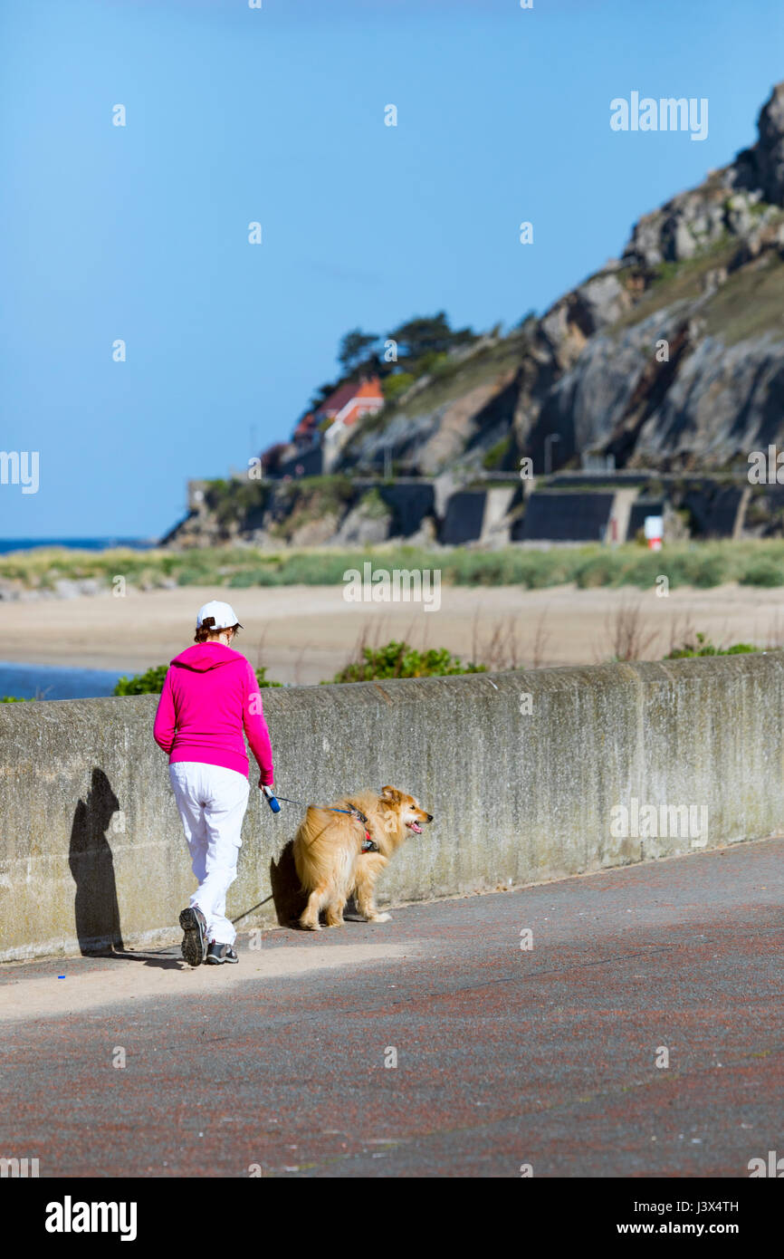 Comté de Conwy, Pays de Galles, Royaume-Uni. 8 mai, 2017. Météo France, soleil sur la côte ouest de la France aujourd'hui, y compris le Nord du Pays de Galles. - Un marcheur en tenant son chien pour marcher dans la merveilleuse météo à Deganwy, Promenade dans le Nord du Pays de Galles avec le grand orme de Llandudno en arrière-plan Crédit : DGDImages/Alamy Live News Banque D'Images