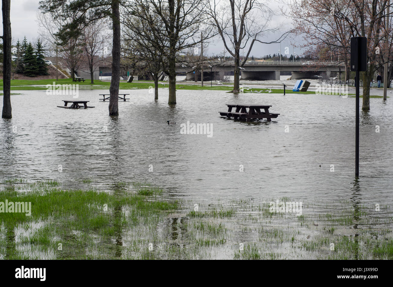 Ottawa, Canada. 7 mai, 2017. Inondations 2017 sous le pont Champlain, à la région d'Ottawa et de Gatineau. La zone de pique-nique à côté du pont sur le côté d'Ottawa est complètement inondé, permettant uniquement aux plongeurs d'utiliser l'espace. Credit : LynxDemon/Alamy Live News Banque D'Images