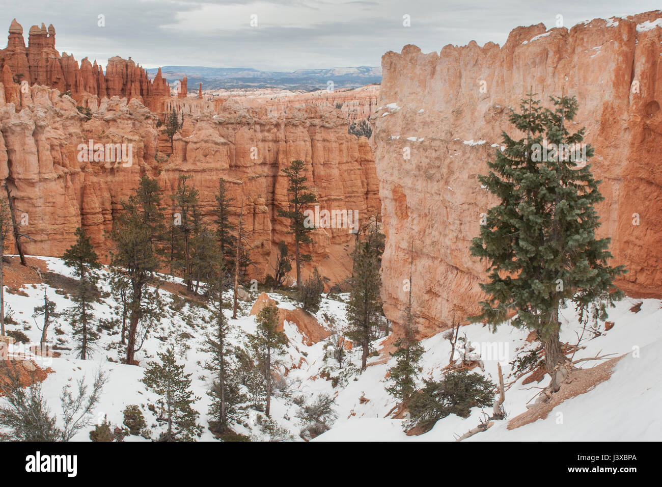 De forme irrégulière de fée (flèches) en terre en hiver à Bryce Canyon National Park, Utah. Banque D'Images