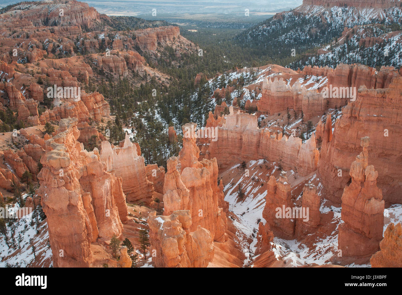 De forme irrégulière de fée (flèches) en terre en hiver à Bryce Canyon National Park, Utah. Banque D'Images